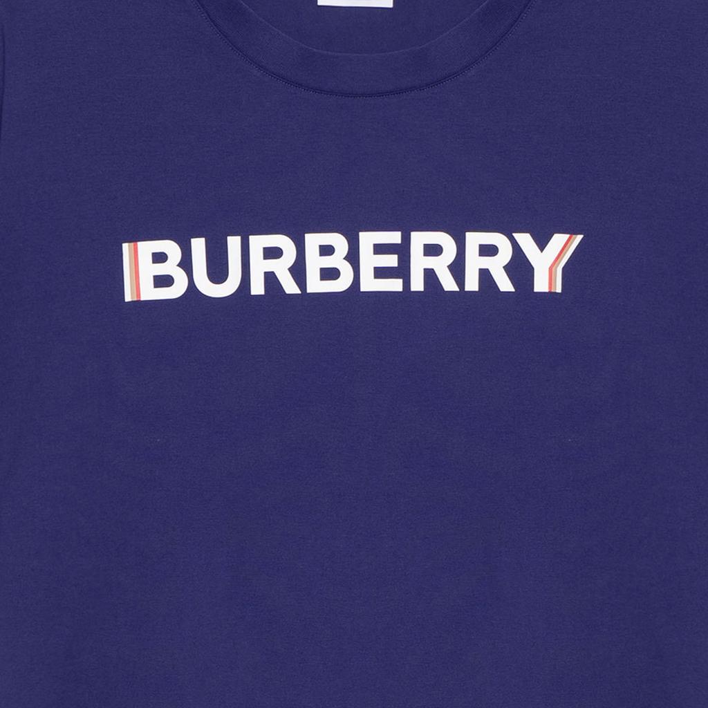 Burberry T Shirts Men's Blue Crew Neck Moderate 80530131