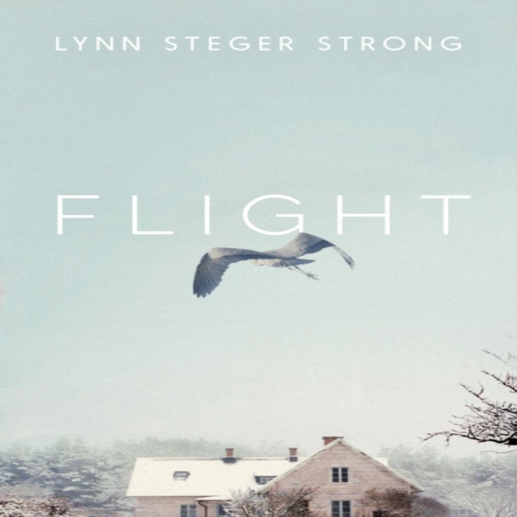 Flight by Lynn Steger Strong Hardback Book 9781398519138