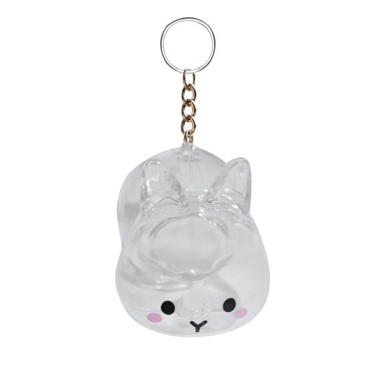 Dog Hair Collector Charm Keychain Transparent Pet Fur Keepsake Capsule Rabbit Memorial Pet Hair Collection Bottle Charm with Keyring Gift for Pet
