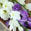 High-End European Style 8-Head Large Gladiolus Artificial Flowers Home Living Room Decoration Wedding Flowers Artificial Flowers