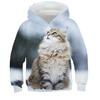Children's Cute Cat 3D Digital Printed Boys' Personalized Fashion Hoodie Sweatshirt