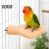 Cockatiel Resting Platform Hand-Shaped Parrot Perch, Realistic Hand Stand with Screw Fastener, Bird Training Perch for Birds Cage Budgie