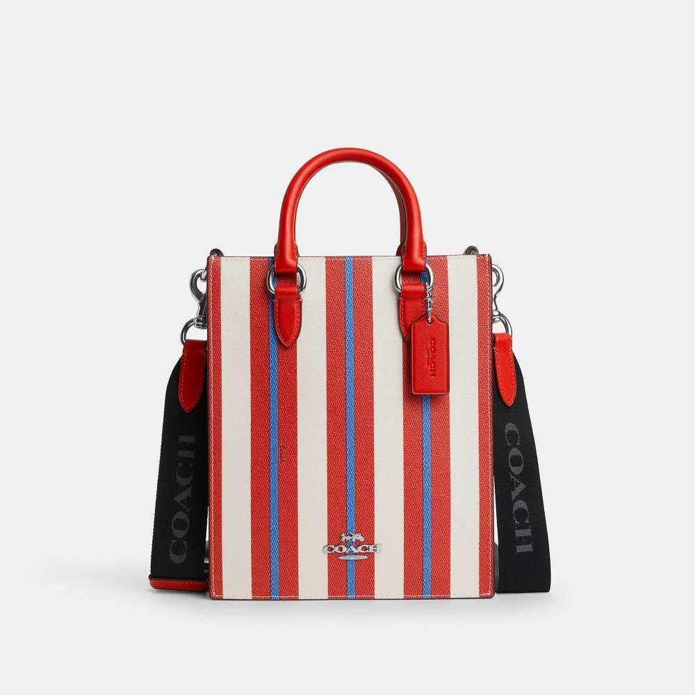 

Coach Dylan Tote Bag With Stripe Print silver miami red multi