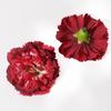 5/10Pcs Silk Artificial Flowers Heads for Wedding Marriage Decoration DIY Garland Accessories Home Room Decortions Fake Flower