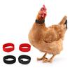2Pcs Chicken Collar Nylon Anti-hook Noise Free Ducks Geese Poultry Neck Strap