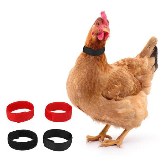 2Pcs Chicken Collar Nylon Anti-hook Noise Free Ducks Geese Poultry Neck Strap