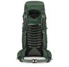 Backpack Osprey Talon 44 S/M Green Canopy (Men)