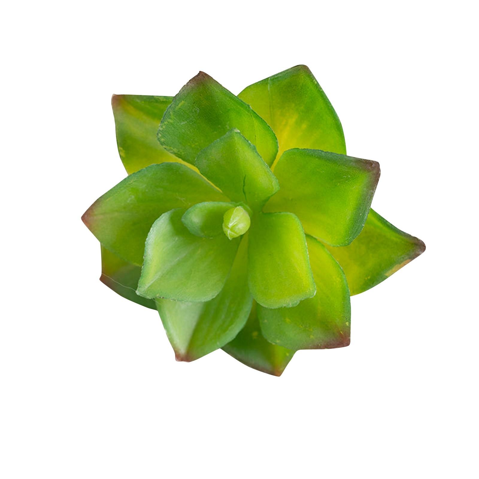 

Моделирование Цветка Сочные Жемчужные Листья Стол Домашний Декор Свадебный Букет Поддельные Цветы One Size зелёный