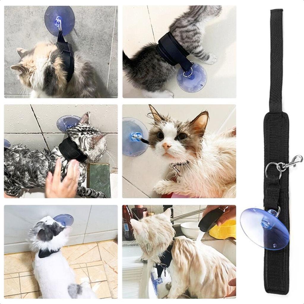 Neu Verwöhnen Sie Ihr geliebtes Haustier mit einem luxuriösen und erholsamen Tag in unserem opulenten Pet Spa Salon - Verwöhnen Sie es mit erstklassigem G