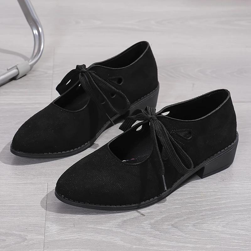 Fashion 2025 Vintage Lace Up Thick Heels Pumps Women Shoes 2025 Spring Pointed Toe Mary Jane Shoes Woman Plus Size Faux Suede Pumps 43