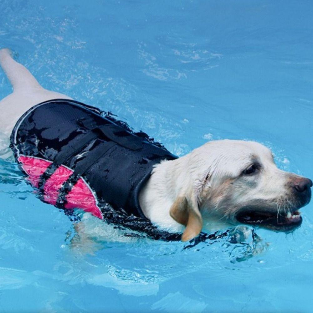 Adjustable Dog Life Jacket Enhanced Buoyancy Dog Surfing Clothes Pet Safety Vest  Water Sports
