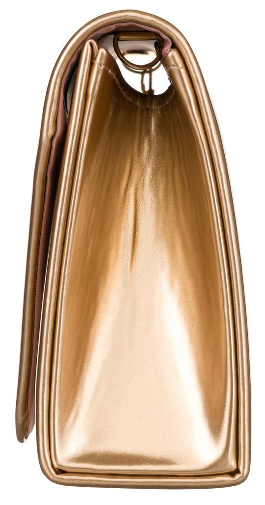 R-XS006-7301 Champagne Clutch Bag