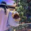 Breathable Dog Carrier Backpack for Small to Medium Dogs And Cats with Head out Design Comfortable Hands-Free Hiking Travel