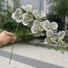 10pcs Phalaenopsis Orchids Artificial Flowers EVA Material 9 Heads Fake Orchid Stems for Wedding Home Decor Outdoor Photography