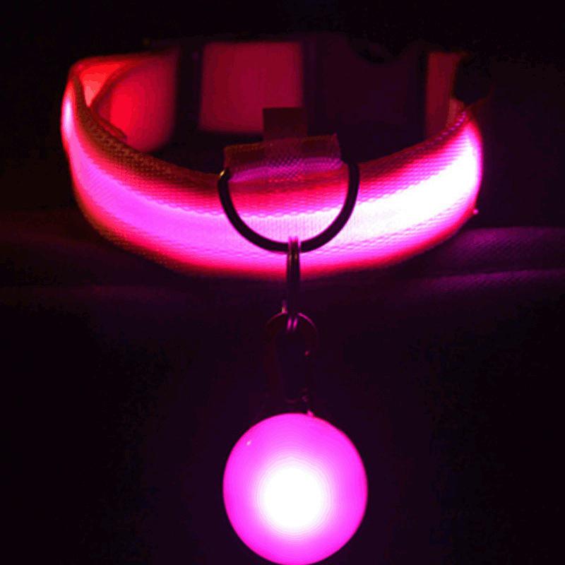LED Glowing USB Rechargeable Pet Collar for Dogs and Cats - Night Light with Decorations for All Sizes