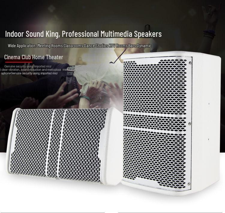 Ying Xian Dan Professional Wall-Mounted Speaker for Conference Rooms, KTV, Dance, School, or Hotel (8/10/12/15 Inch).