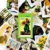 New Tarot Cards A Traditional Tarot Cards With Contemporary Artistic Oracle Card Game For Divination, Meditation & Gifts
