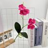 Phalaenopsis Flower Artificial Wedding Photography Props Party Gift Decorations