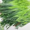 Lifelike Artificial Grass Plants Perfect for Aquariums, Thanksgiving St. Patrick's Day Decor, Outdoor Patio Tables No Container Included, Rehabilitati