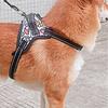 Round Cord Shape Dog Harness Leash Anti-pull Dog Rope  Outdoor Running Exercise