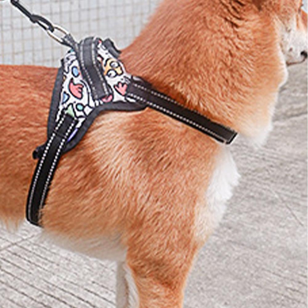 Round Cord Shape Dog Harness Leash Anti-pull Dog Rope  Outdoor Running Exercise