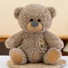 Bear Toy Plush Cartoon Animal Stuffed Doll Bedroom Decoration Kids Gifts Cute