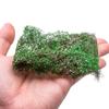 1:35-1:100 Vine Scene Materials Vine Vegetation Landscape Vine Model  Architecture Building