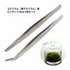 AVILMORE Precision Tweezers for Moss Cultivation, Moss Balls, Succulents, and Terrariums, 16cm, Set of 2 (Straight and Curved), Non-Slip, for Moss Cul