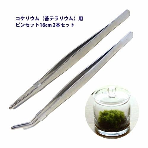 AVILMORE Precision Tweezers for Moss Cultivation, Moss Balls, Succulents, and Terrariums, 16cm, Set of 2 (Straight and Curved), Non-Slip, for Moss Cul