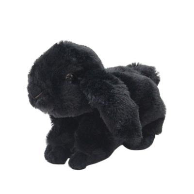 Take Off Kaninchen Maron Holland Lop Schwarz