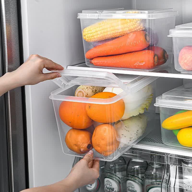 Flip-Top Plastic Food Storage Box