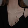 Stainless steel long fringed necklace female simple temperament niche light luxury collarbone chain accessories female
