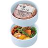 Skater Antibacterial Bento Box Hangyodon Headpiece Sanrio 500ml 2 Tier Round Shape Made in Japan ONWR1AG-A