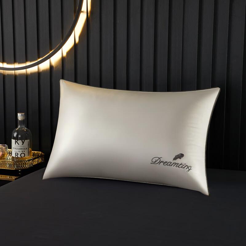 

Yaloo Ice Silk Embroidered Soft Pillow
