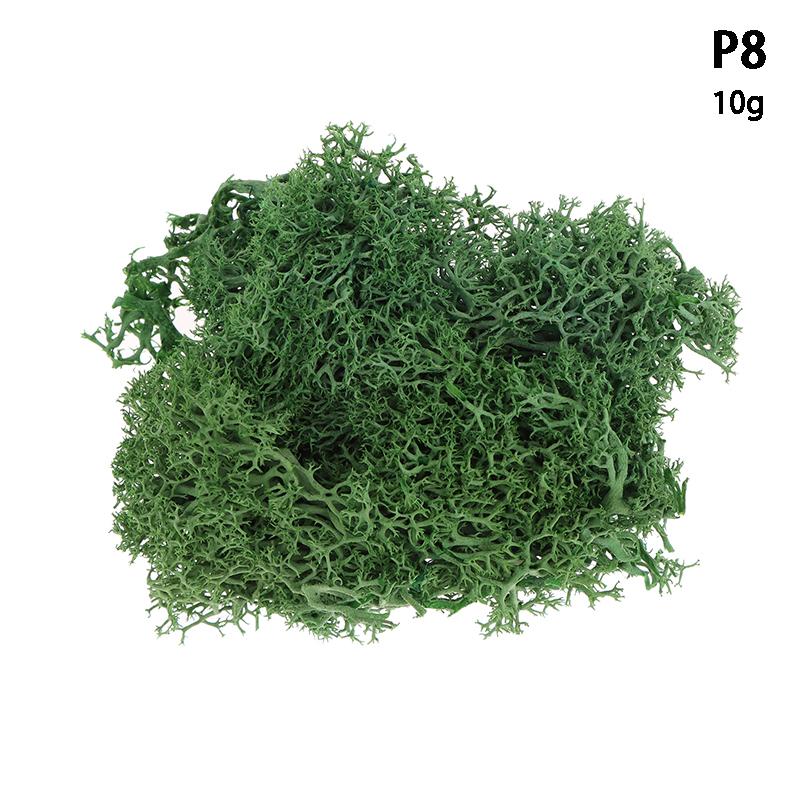 Colorful Natural Artificial Moss Plant DIY Dried Reindeer Moss Decor Resin Epoxy Filling Jewelry Garden Decorate Supplies