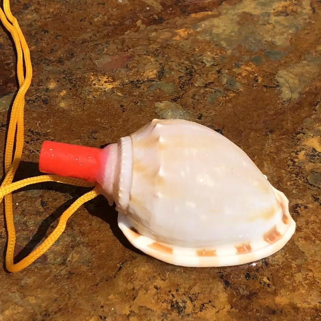 Street Stall Conch Shell Whistles & Toys: Creative Souvenirs