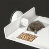 Turtle Basking Drying Resting Sun Platform Mat Dock, Climbing Ladder for Amphibians and Reptiles, Turtle Land Island Habitat