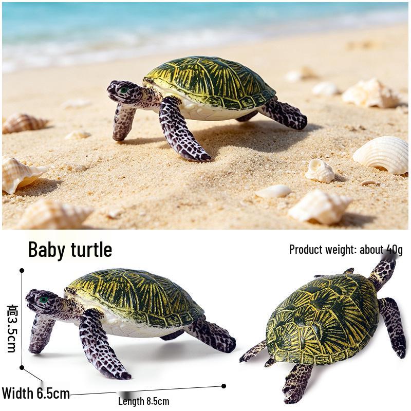 Children's Cognitive Marine Animal Models: Sea Turtle and Tortoise Toys