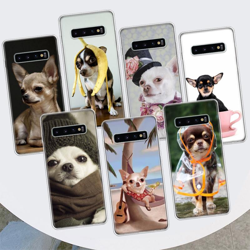 Chihuahua Puppy Teacup Dogs Phone Case For Samsung Galaxy M21 M12 M31S M32 M51 M52 Note 20 Ulte 10 Plus 9 8 J4 J6 + J8 M11 F52 F