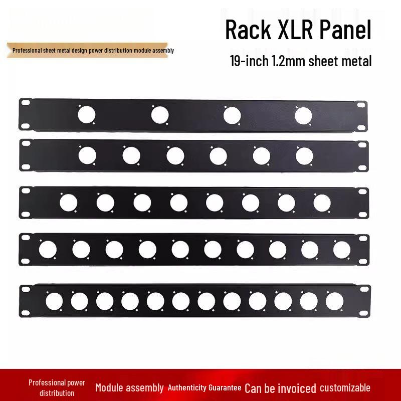 19-Inch 1U/2U Audio Rack Flight Case with Blank Panel, Cannon Rack, and Hole Plug.