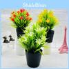 Spring Grass Orchid Miniature Plastic Indoor Garden Decor For Hotel Windows Display