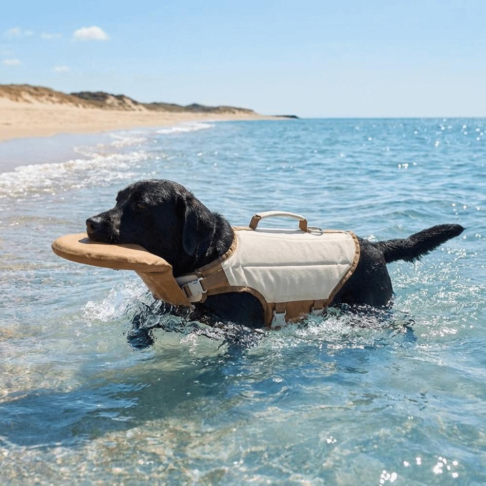 High Buoyancy Dog Life Jacket Breathable Dog Flotation Vest Dog Surfing Suit Dog Safety Vest Beach