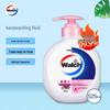 Healthy Antibacterial Hand Wash