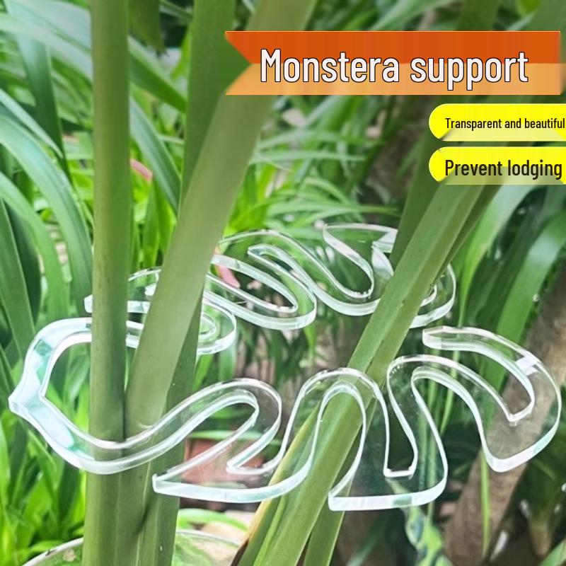 Transparent Plant Stem Fixer and Gatherer for Potted and Art Flowers - Monstera Clip Support