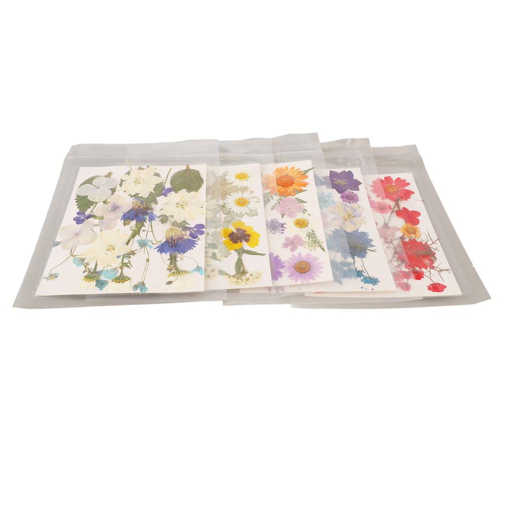 5 Bags Pressed Flowers Assorted Styles Vibrant Rich Details Multi Purpose Colorful Dried Flowers