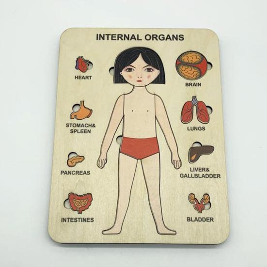 Cognition Easy To Assemble Fun Smooth Surface Boys Girls Anatomy Play Set Wooden Jigsaw Board Puzzle