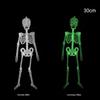 Luminous Skull Skeleton Body Scary Halloween Toy Haunted House Tricky Prop Halloween Party Decoration Props
