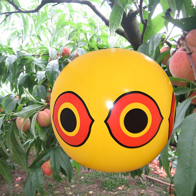 PVC Inflatable Eye Bird Repellent Beach Ball for Farm Orchard Airport Use