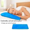 Refillable Cooling Ice Pillow PVC Ice Cushion Multifunctional Ice Cold Pillow  Sleeping Aid