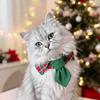 Plaid Pattern Cat Neck Tie Leash Ring .Plaid Puppy Hat Christmas Pet Collar  Puppy Kittens